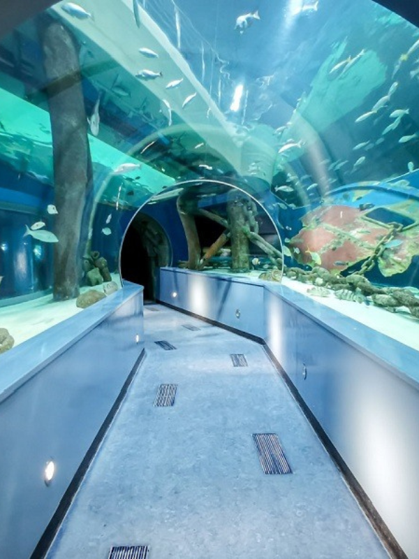 Sharjah Aquarium